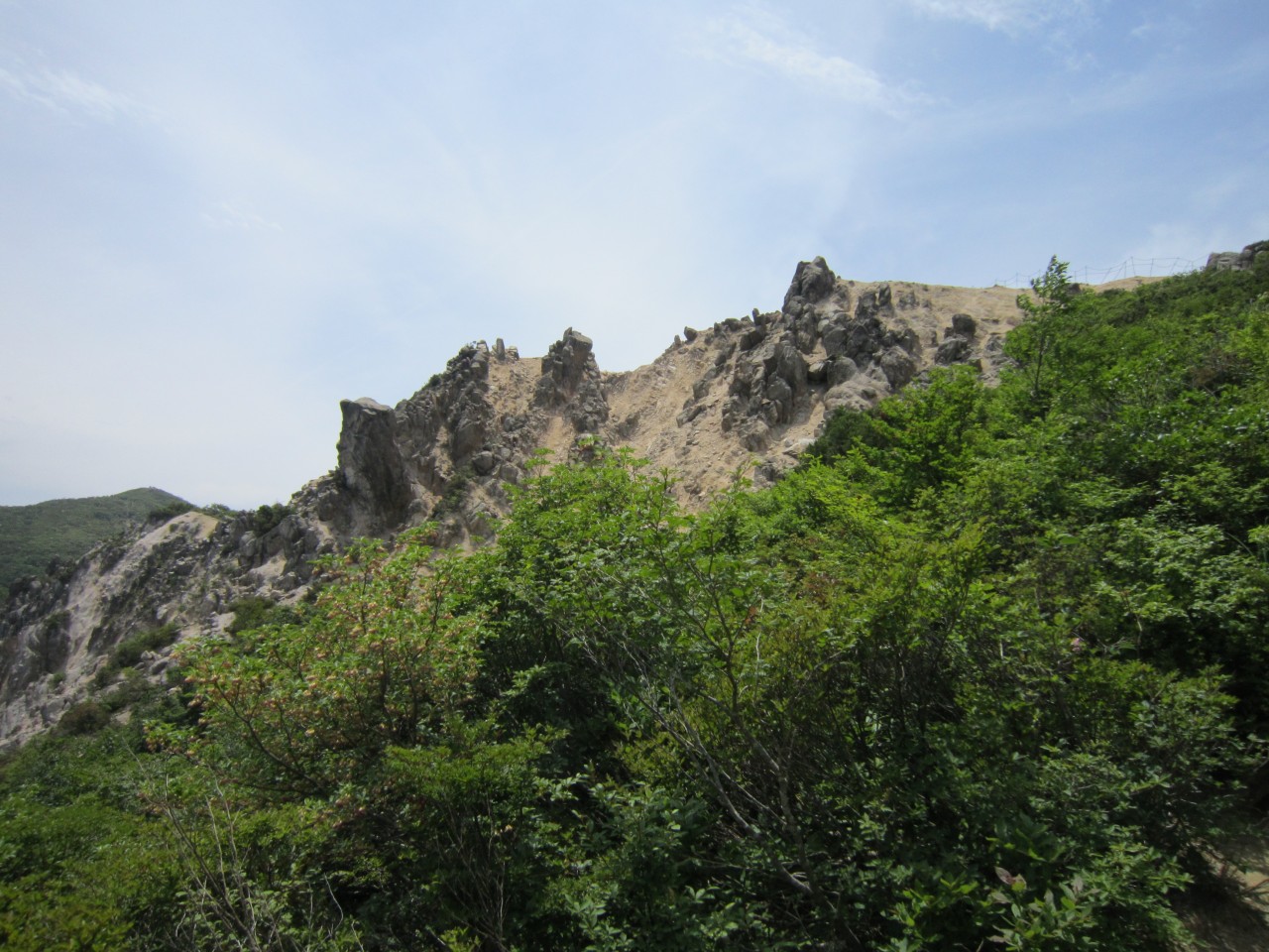 明王の禿
