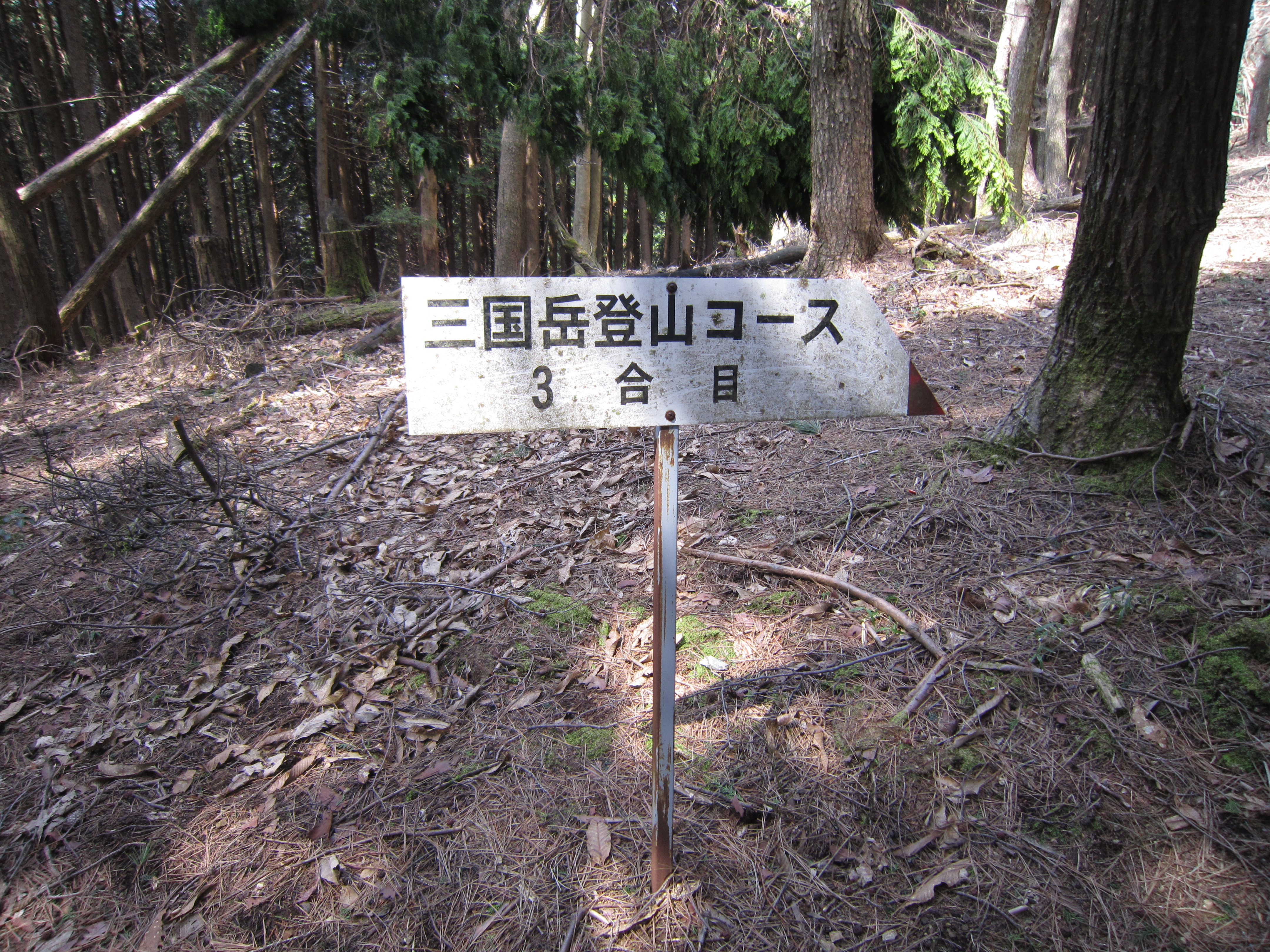 ３合目